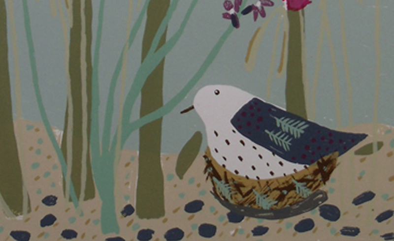 Liz Toole