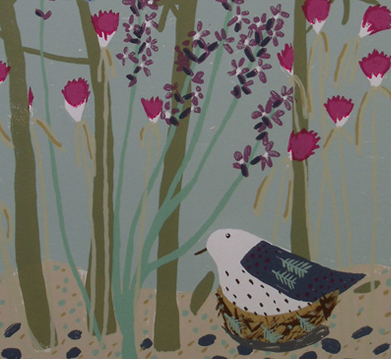 Liz Toole