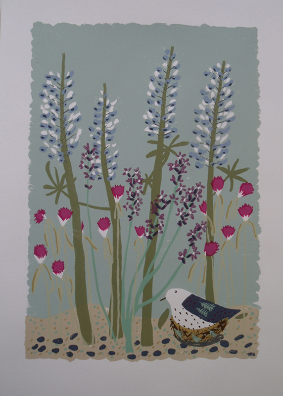 Liz Toole