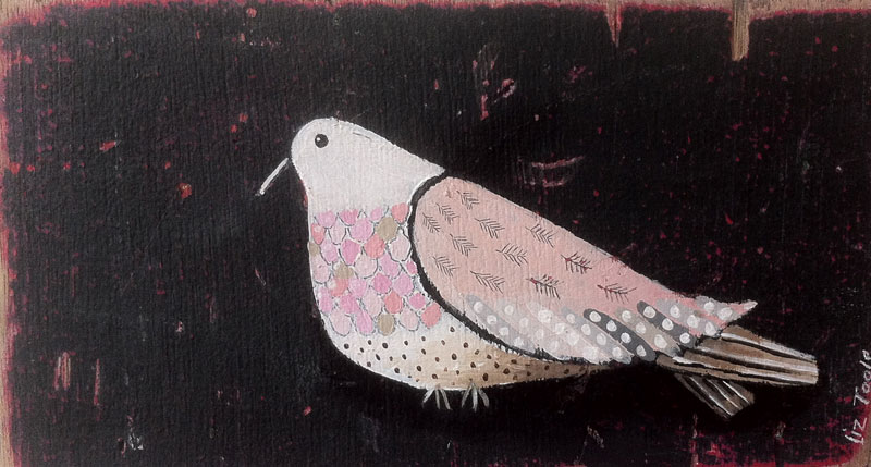 Liz Toole
