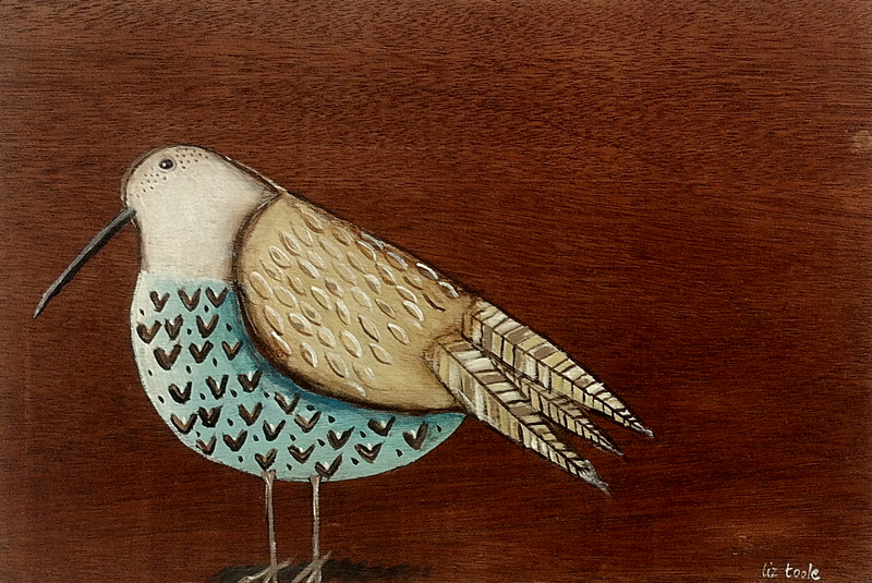 Liz Toole