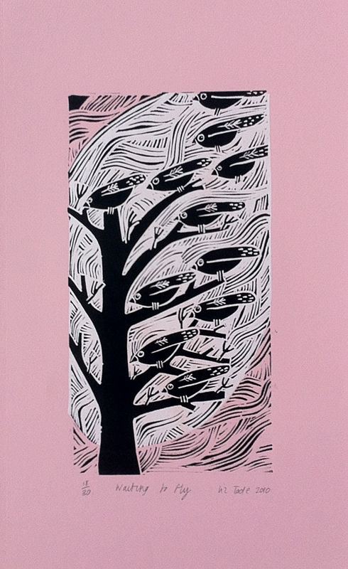 Liz Toole
