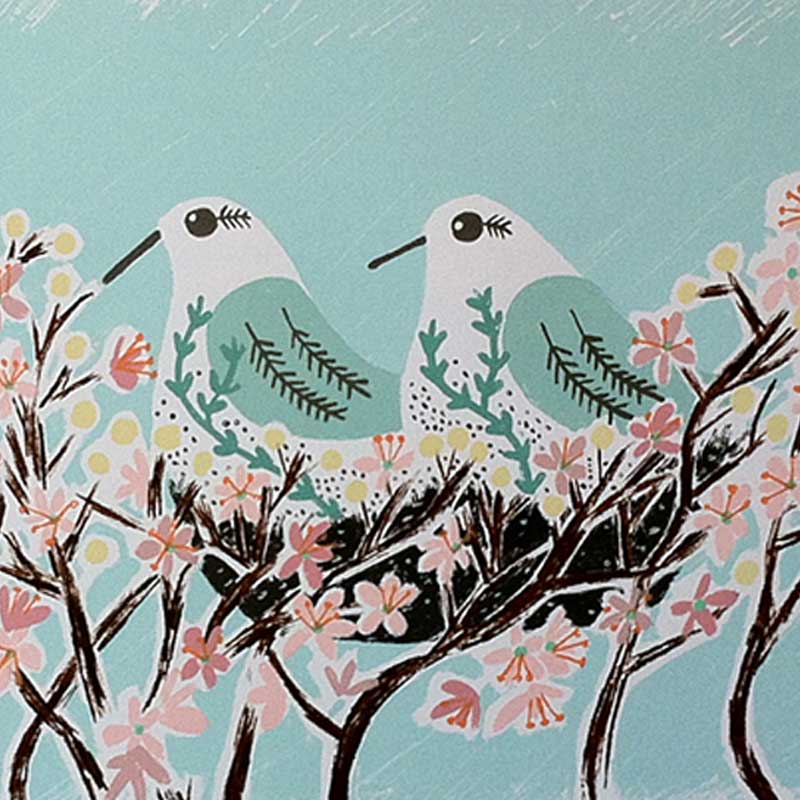 Liz Toole