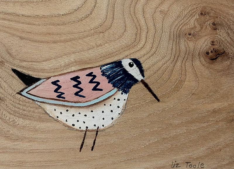 Liz Toole