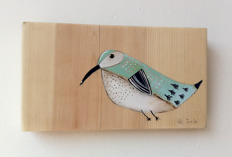 Liz Toole