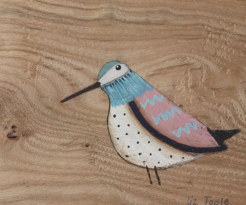 Liz Toole