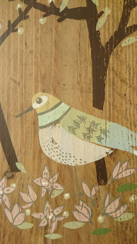 Liz Toole