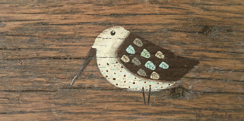 Liz Toole