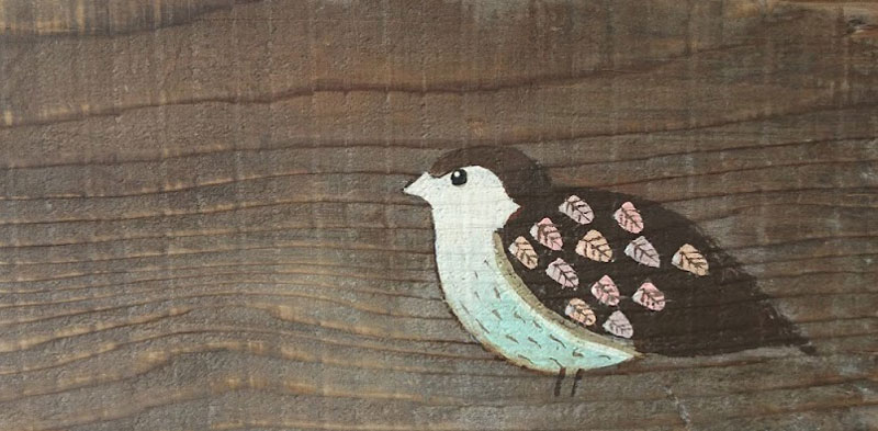 Liz Toole