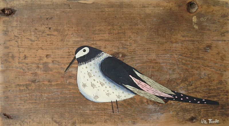Liz Toole