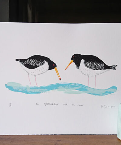 The Oystercatcher and the Clam