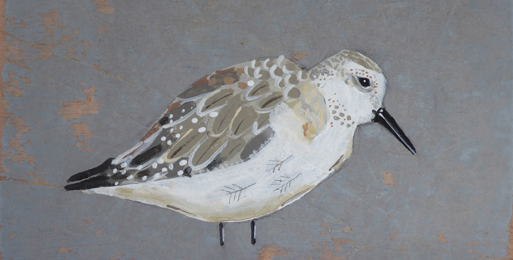 Liz Toole