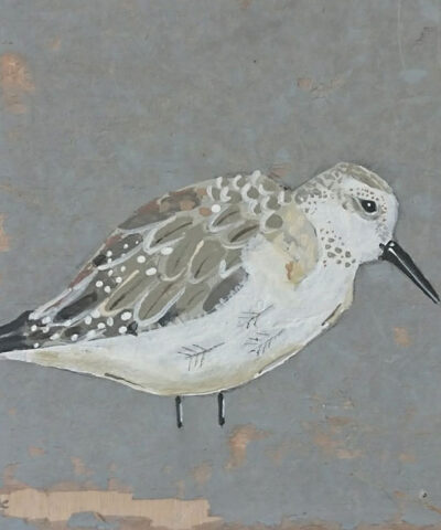 The Thoughtful Bird. Greetings card