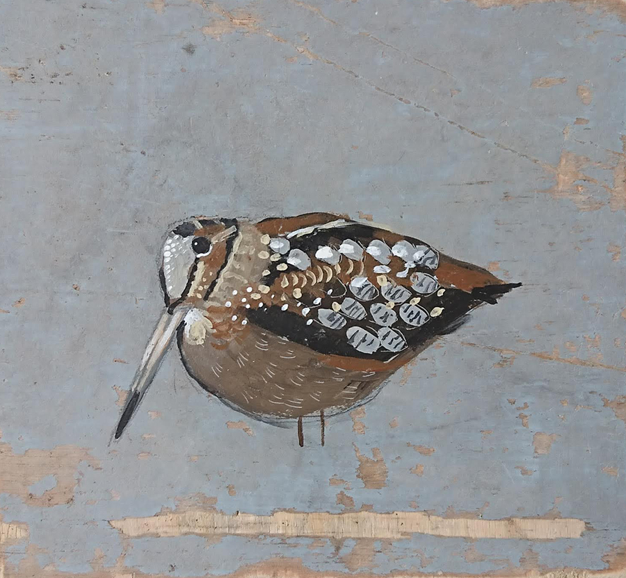 Liz Toole