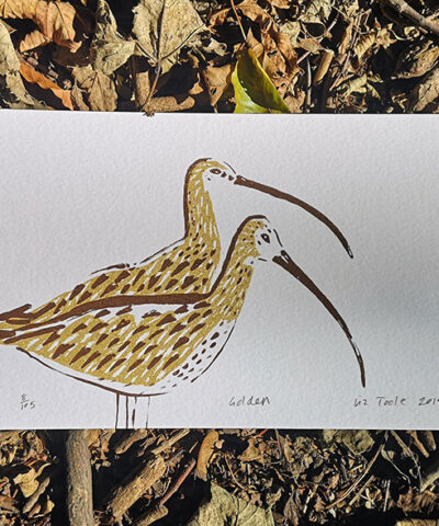 Alternative view of Golden. Gold ink