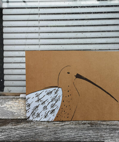 Alternative view of White Wing