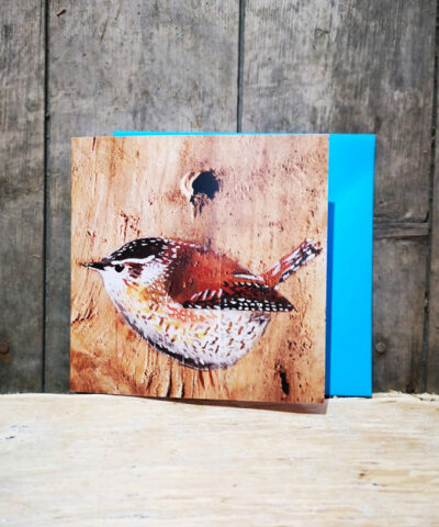 Millie the Wren. Greetings card