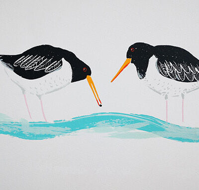 The Oystercatcher and the Clam. Greetings card