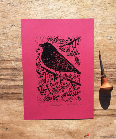 Alternative view of Abundance framed blackbird linocut, fuchsia