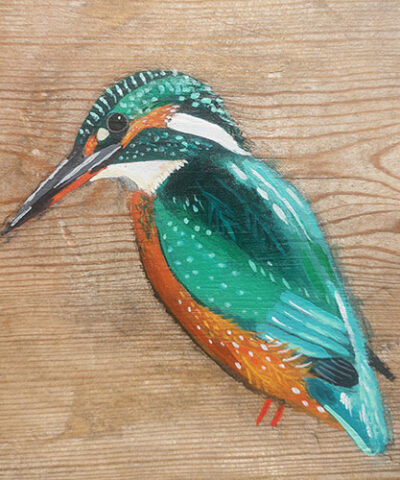Edith the Kingfisher. Greetings card