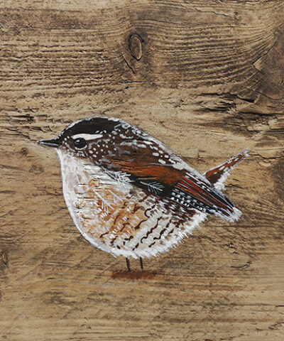 Matilda the Wren. Greetings card