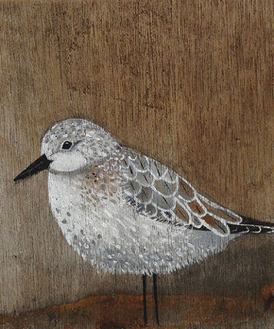 Stillness. Sanderling greetings card.
