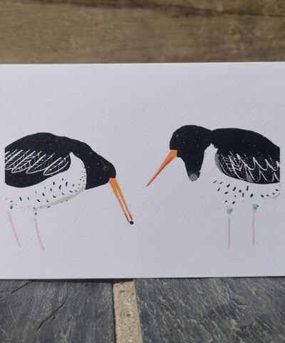 The Gift. Oystercatcher greetings card.
