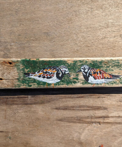 Nelly and Ned. Welsh driftwood