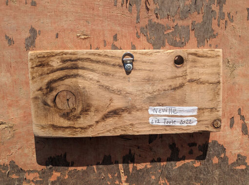 Neville the Wren. Shropshire reclaimed wood. - Image 5