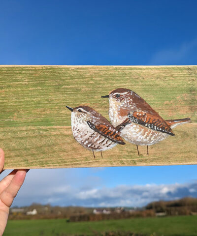 Guidance. A pair of Wren's painted on reclaimed wood.