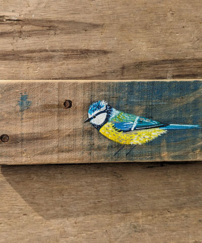 Alternative view of Horace the Blue tit. Welsh driftwood