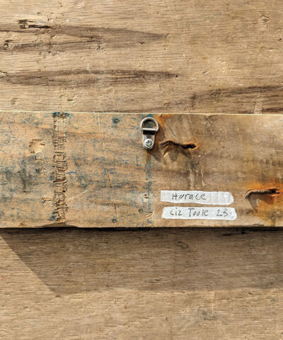 Horace the Blue tit. Welsh driftwood - Image 5