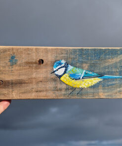 Horace the Blue tit. Welsh driftwood