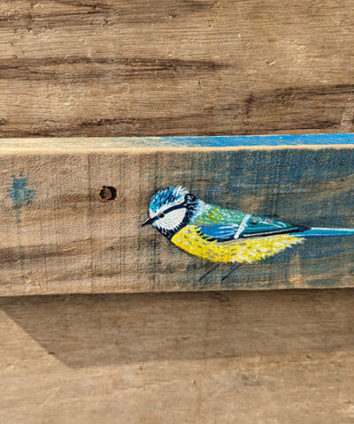 Horace the Blue tit. Welsh driftwood - Image 3