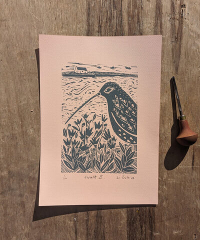 Alternative view of Growth 2 framed. Curlew linocut