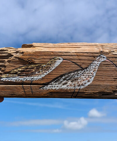 Moving On. A pair of Curlews. Welsh driftwood - Image 4
