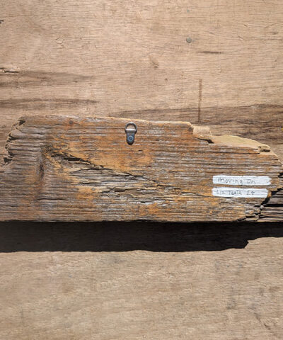 Moving On. A pair of Curlews. Welsh driftwood - Image 3