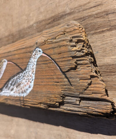 Alternative view of Moving On. A pair of Curlews. Welsh driftwood