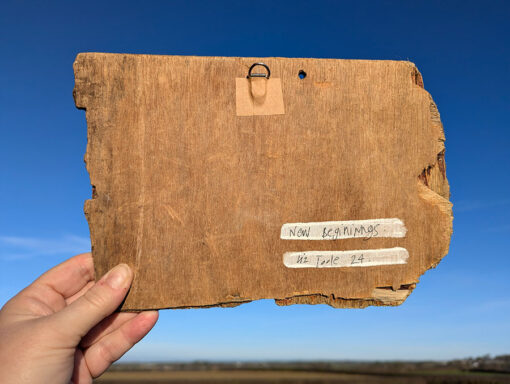 New Beginnings. Welsh driftwood - Image 4
