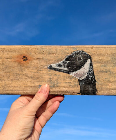 Alternative view of Nell, Canada Goose detail. Welsh driftwood