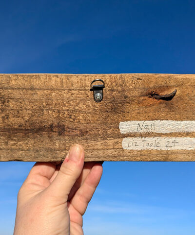 Nell, Canada Goose detail. Welsh driftwood - Image 4