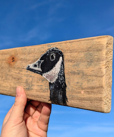 Nell, Canada Goose detail. Welsh driftwood