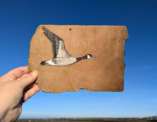 New Beginnings. Welsh driftwood