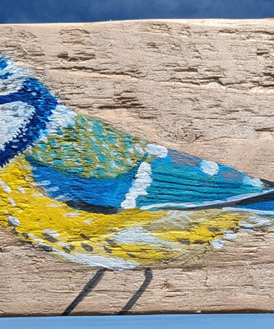 Horace the blue tit. Greetings card
