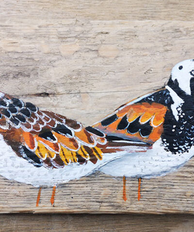 I've got your back. Turnstone greetings card