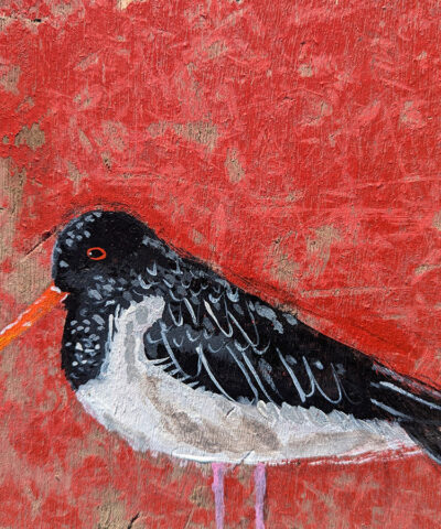 The Oyster Watchers. Oystercatcher greetings card