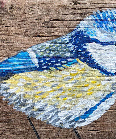Dave the Blue tit. Greetings card