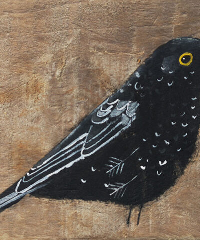 Glenn the Blackbird