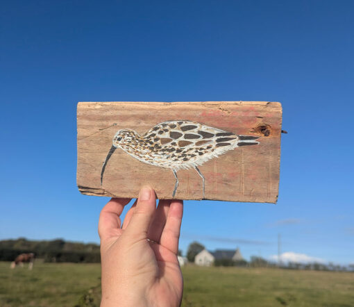 Miranda the Curlew. Welsh driftwood