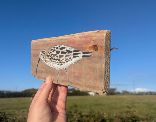 Miranda the Curlew. Welsh driftwood - Image 2
